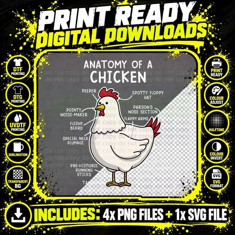 Anatomy of a Chicken Tee Country Farm Women Girl T-Shirt Png SVG Digital Bundle