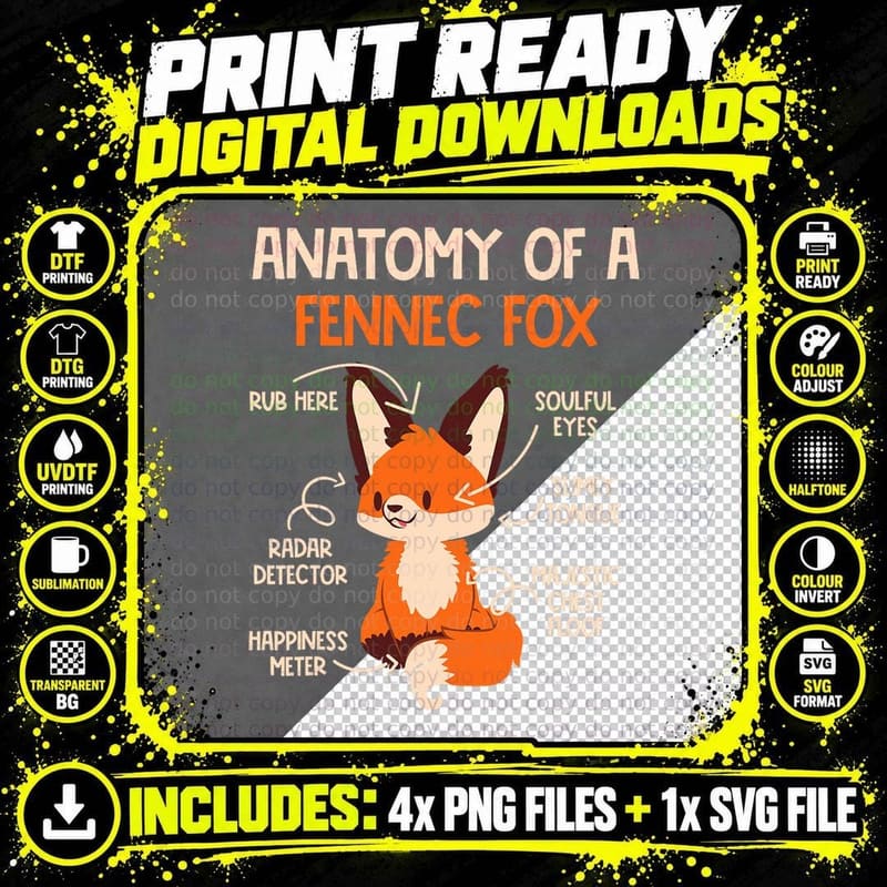 Anatomy of a Fennec Fox Cute Fox Lover Fennec Foxes Png SVG Digital Bundle