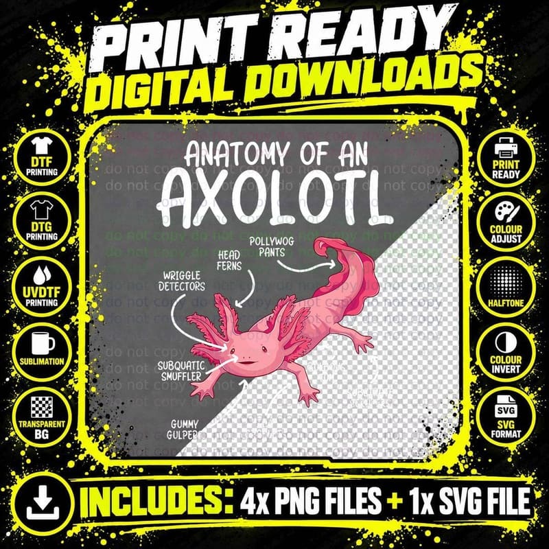 Axolotl Shirt Anatomy of Axolotl Science Pet Axolotl Png SVG Digital Bundle