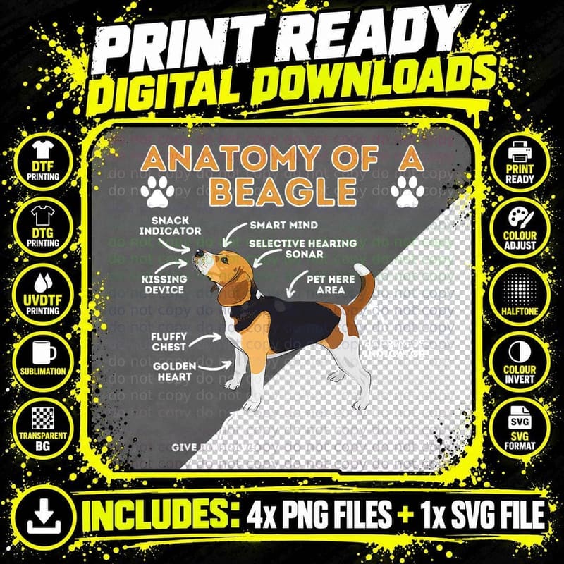 Beagle Anatomy T-Shirt, Animal Illustration Tee Png SVG Digital Bundle