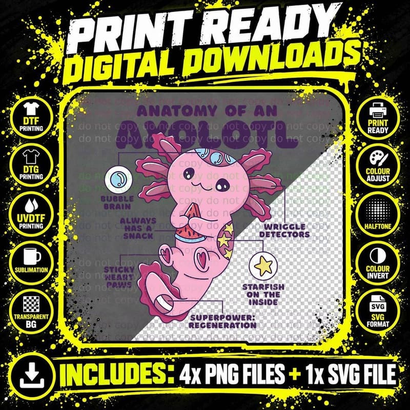 Cute Anatomy of an Axolotl Axolotls Axolotl Lovers Gift Png SVG Digital Bundle