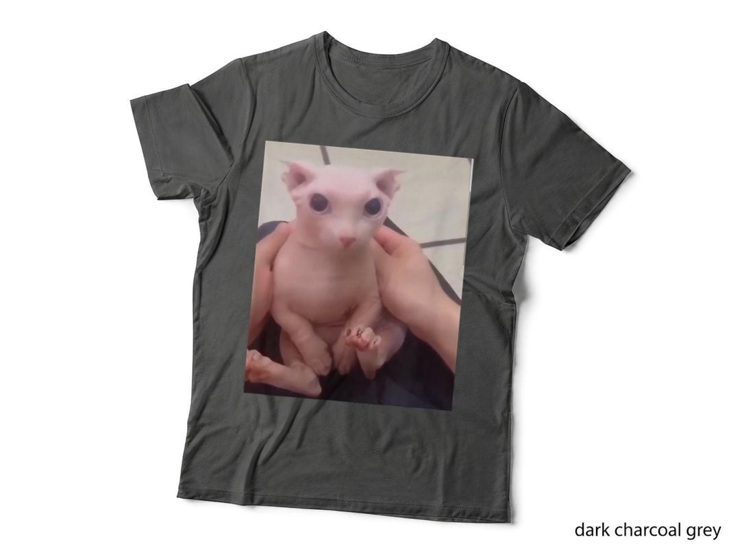 Cute Bald Bingus My Beloved Hairless Sphinx Cat T-Shirt