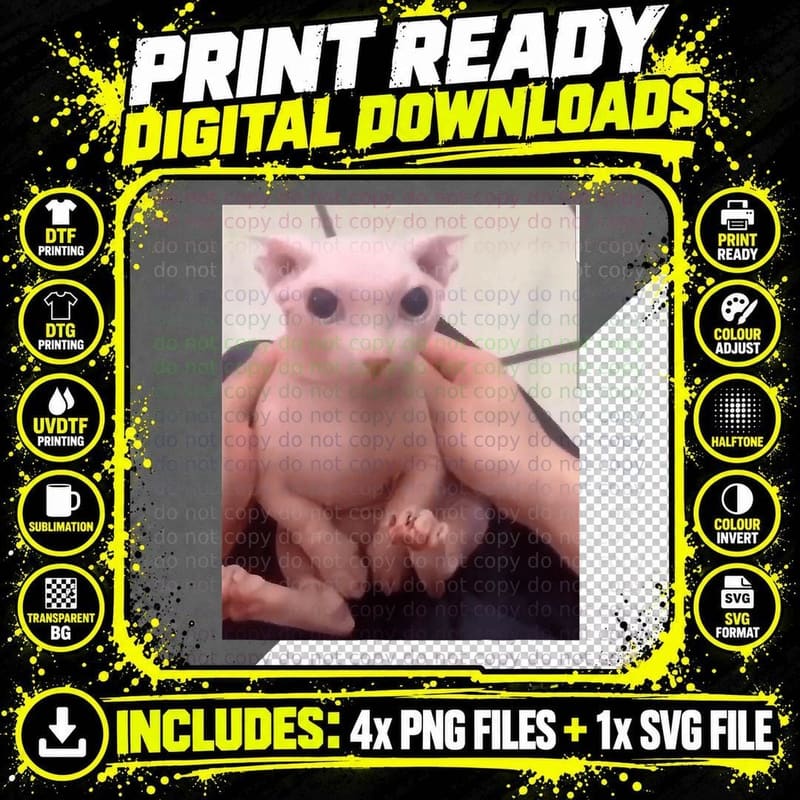 Cute Bald Bingus My Beloved Hairless Sphinx Cat T-Shirt Png SVG Digital Bundle