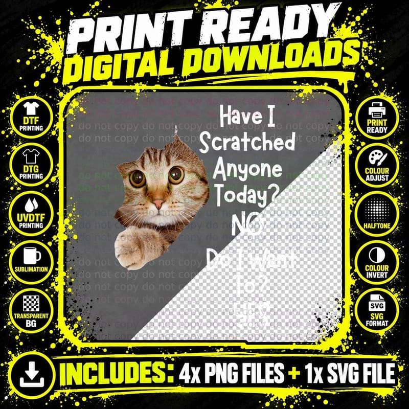 Funny Sarcastic Cat Have I Scratched Anyone Today Png SVG Digital Bundle
