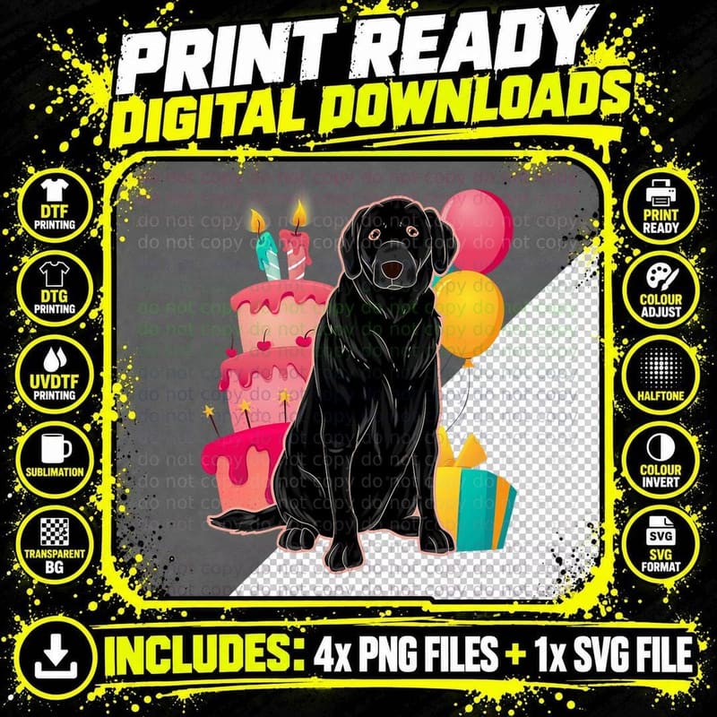 Kids Birthday Party Black Labrador Dog Lover Cute Black Png SVG Digital Bundle