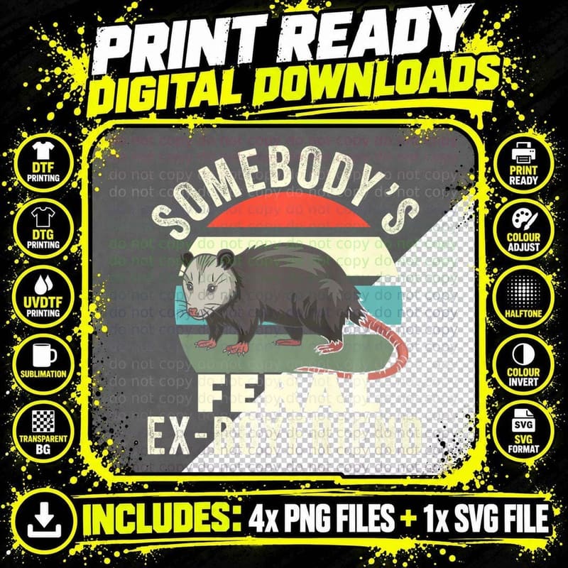 Somebody's Feral Ex Boyfriend Retro Feral Cat Funny Png SVG Digital Bundle