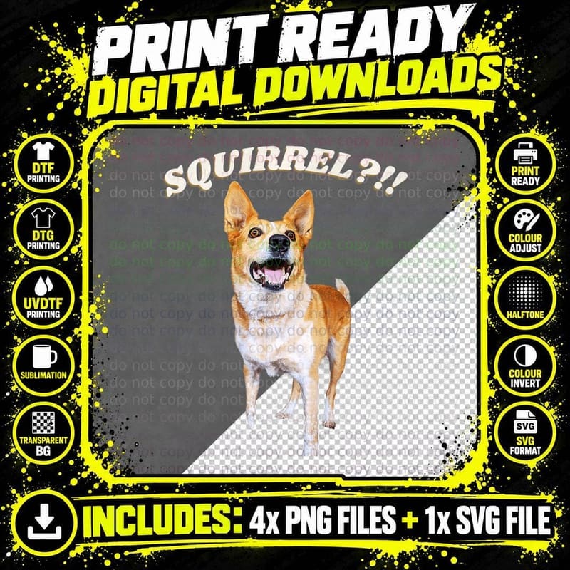 Squirrel!! - Cute Funny Australian Cattle Dog Heeler Png SVG Digital Bundle