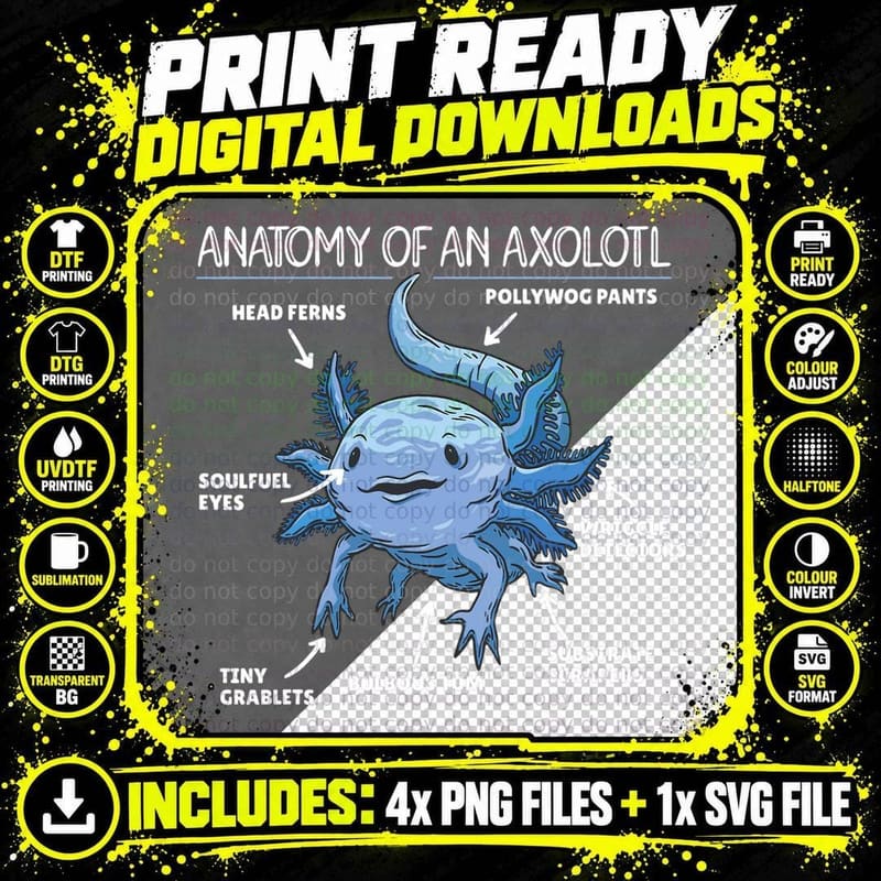 Sweet Melanoid Axolotl Explanation Anatomy of an Axolotl Png SVG Digital Bundle