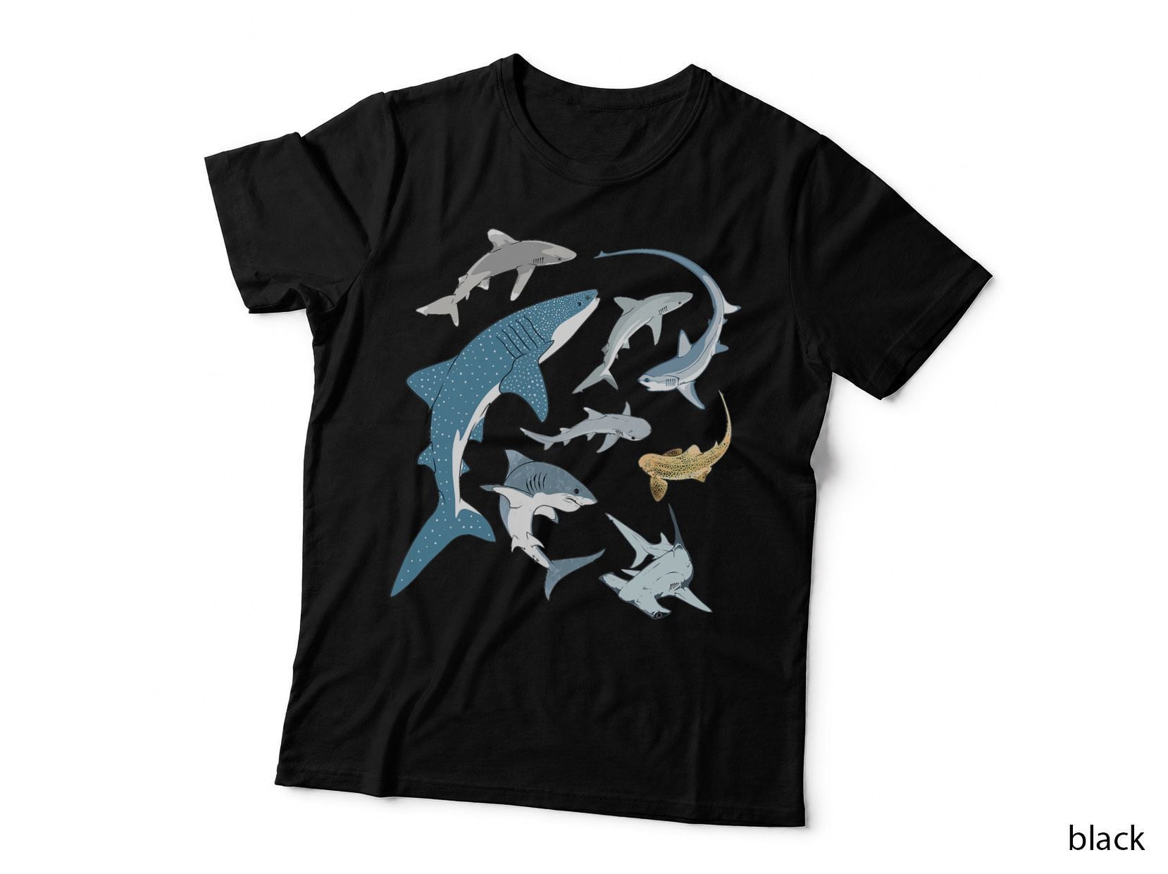 Whale Shark Hammerhead Zebra Shark White Shark Types T-Shirt