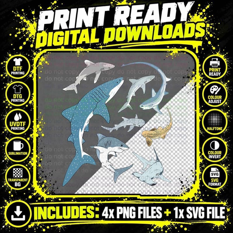 Whale Shark Hammerhead Zebra Shark White Shark Types Png SVG Digital Bundle