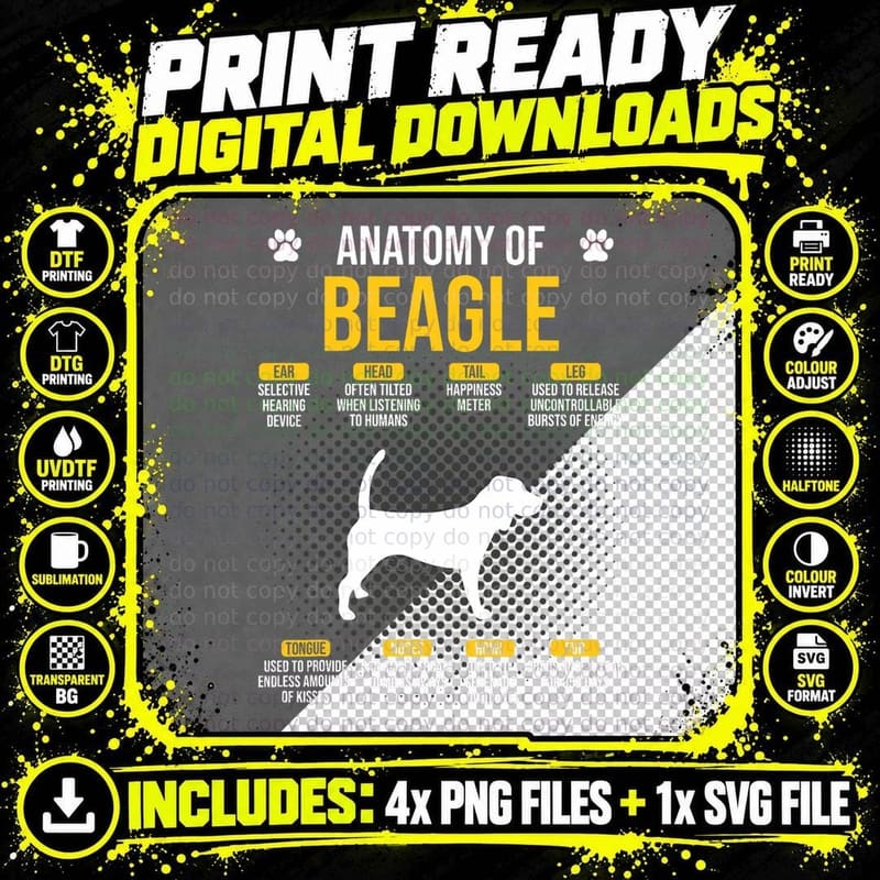 Anatomy of Beagle Dog Lover T-Shirt Png SVG Digital Bundle