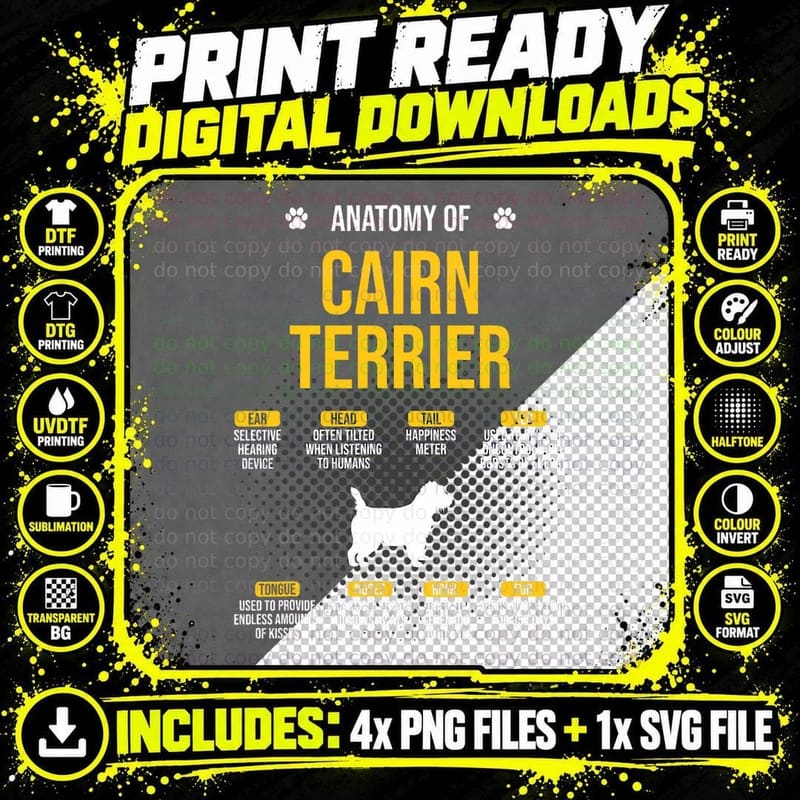 Anatomy of Cairn Terrier Dog Lover T-Shirt Png SVG Digital Bundle