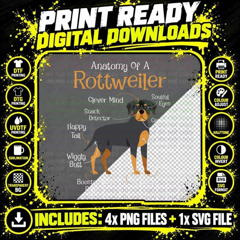 Anatomy of Rottweiler - Animal Lover Dog Owner Png SVG Digital Bundle