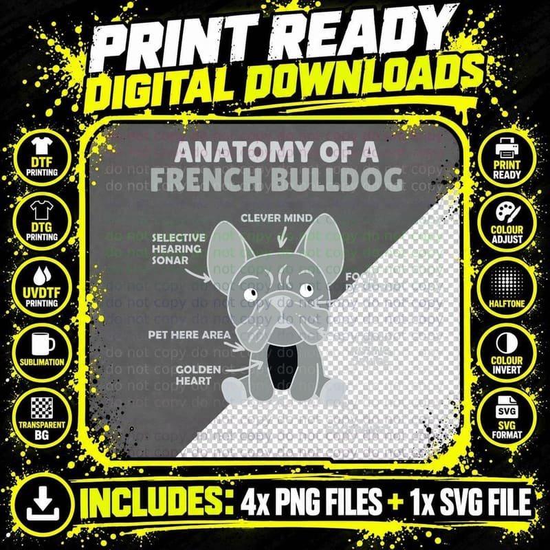 Anatomy of a French Bulldog Sweet Dogs Funny Puppy Dog Png SVG Digital Bundle