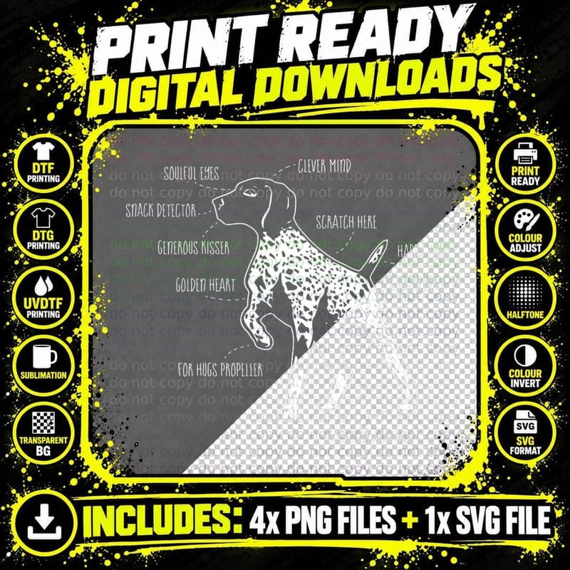 Anatomy of a German Shorthaired Pointer GSP Dog Lover Png SVG Digital Bundle