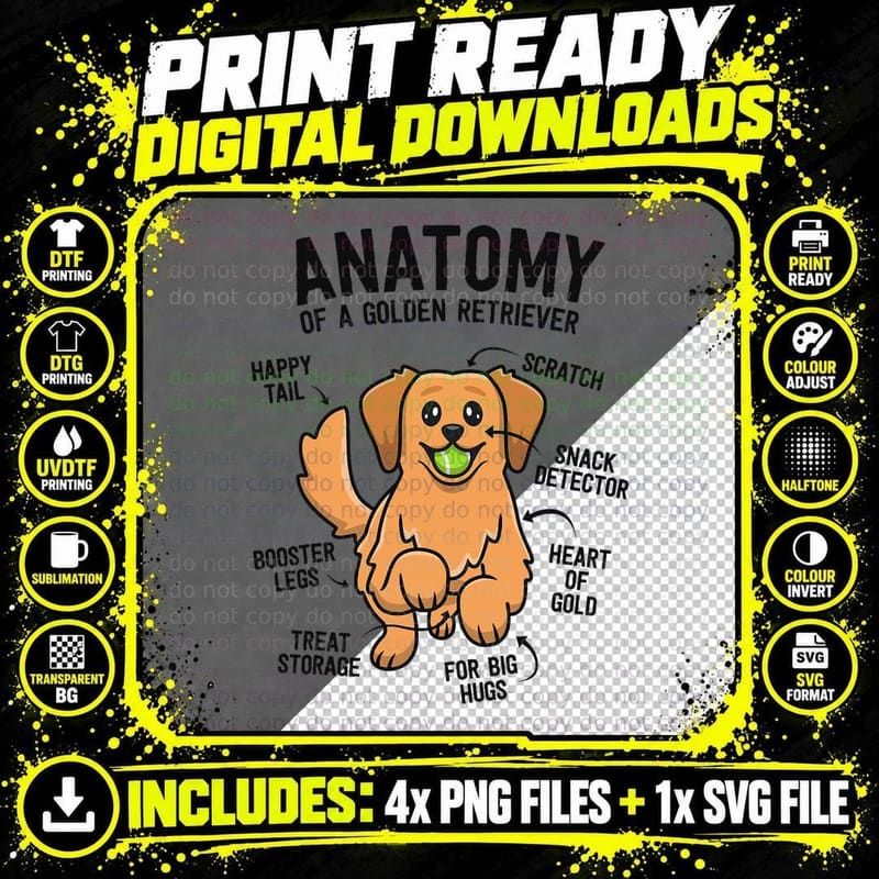 Anatomy of a Golden Retriever Shirt Funny Dog Lover Png SVG Digital Bundle