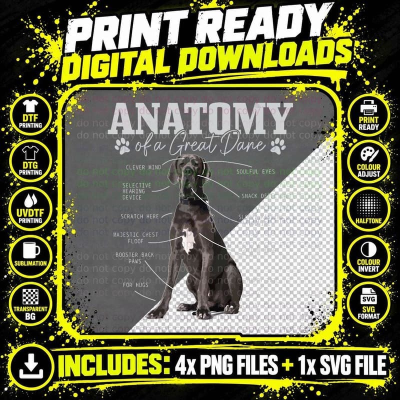 Anatomy of a Great Dane Funny Cute Dog Mom Dad Png SVG Digital Bundle