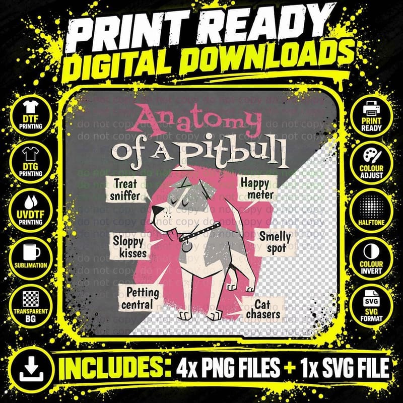 Anatomy of a Pitbull Dog and Cute Pitbull Dogs Owner Png SVG Digital Bundle