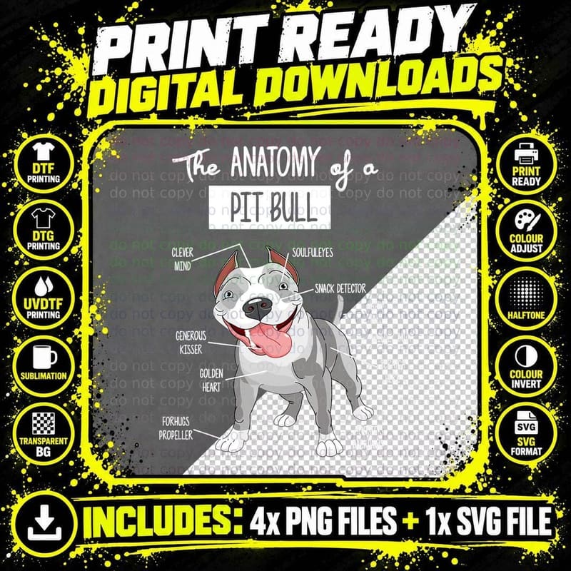 Anatomy of a Pitbull T-Shirt Dog Lover Tee Png SVG Digital Bundle