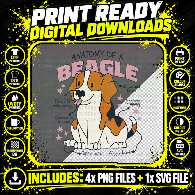 Cute Design of the Anatomy of a Beagle Dog Png SVG Digital Bundle