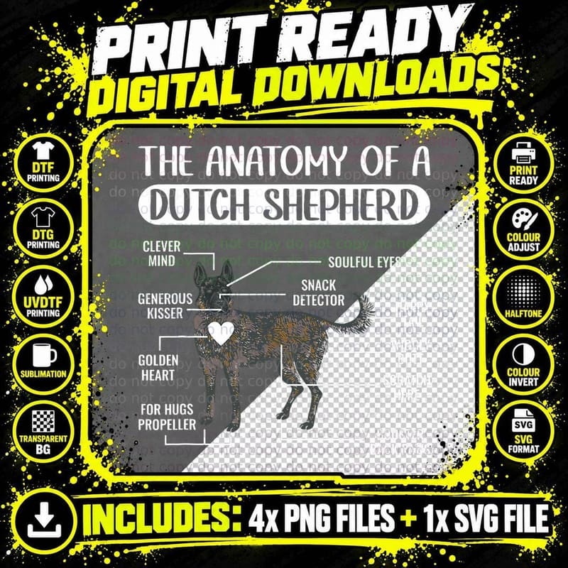 Dutch Shepherd Dog, Anatomy of a Dutch Shepherd T-Shirt Png SVG Digital Bundle