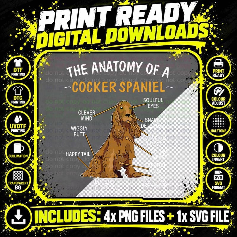 Funny Anatomy of a Cocker Spaniel for Dog Lovers T-Shirt Png SVG Digital Bundle