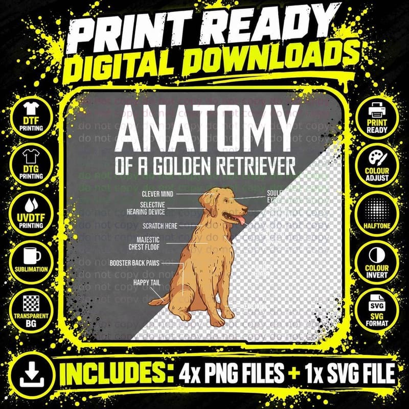 Funny Anatomy of a Golden Retriever Dog Lover Pet Owner Png SVG Digital Bundle