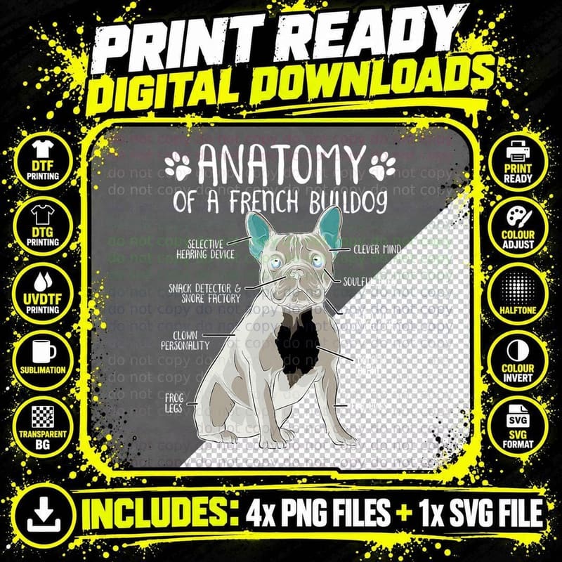 Funny French Bulldog Anatomy Frenchie Dog Lover Owner Png SVG Digital Bundle