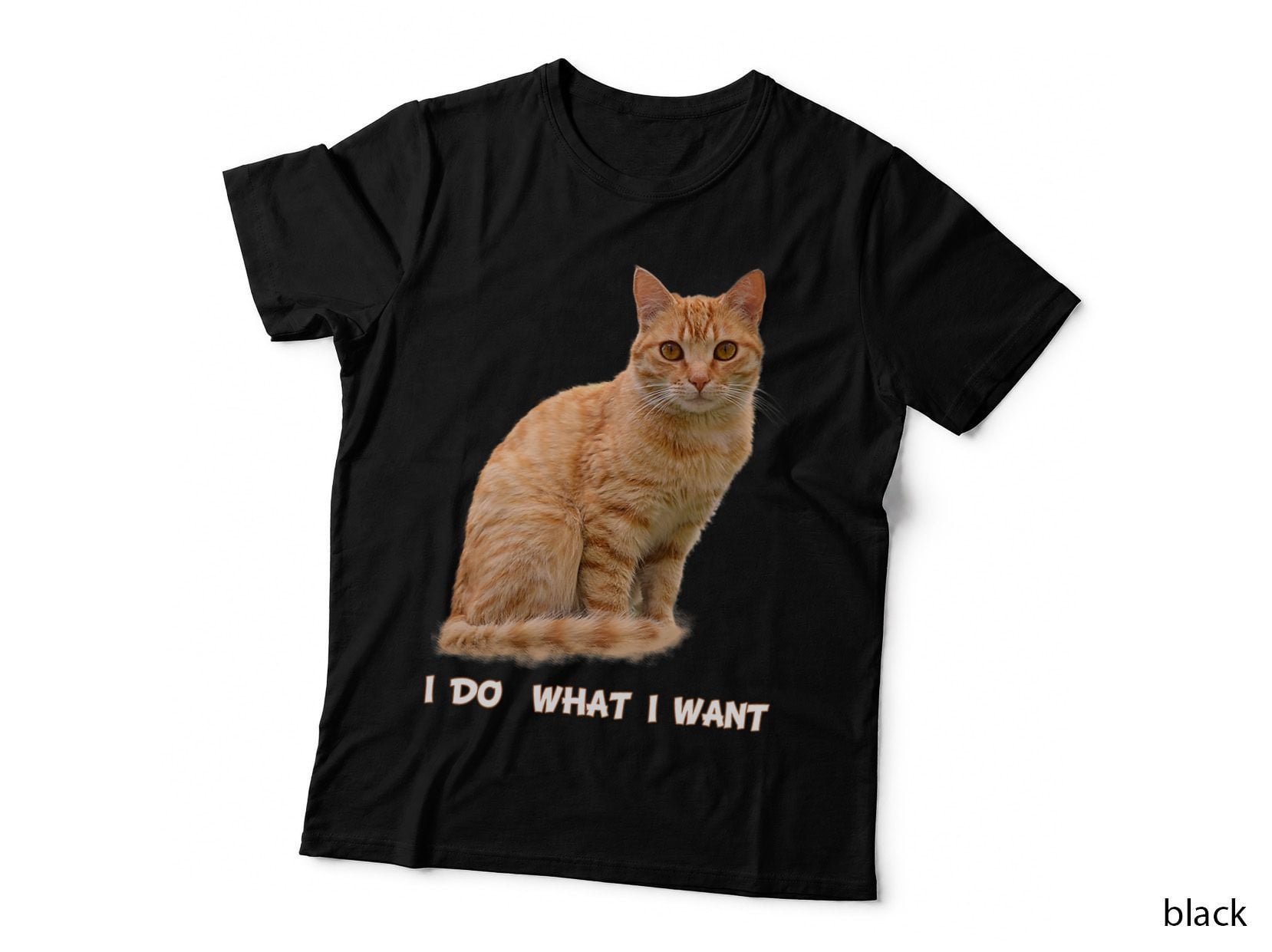 I Do What I Want Funny Orange Tabby Cat Lovers Gifts T-Shirt