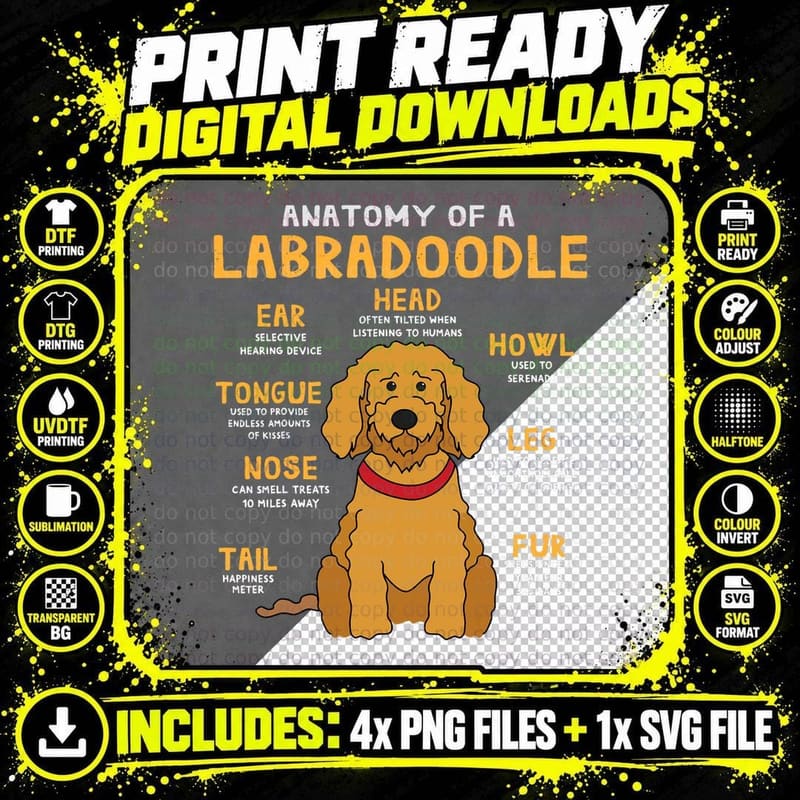 Labradoodle Anatomy Funny Dog Mum Dad T-Shirt Png SVG Digital Bundle