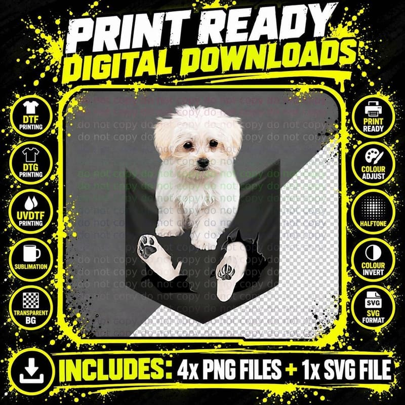Maltese Dog in Pocket T-Shirt Png SVG Digital Bundle