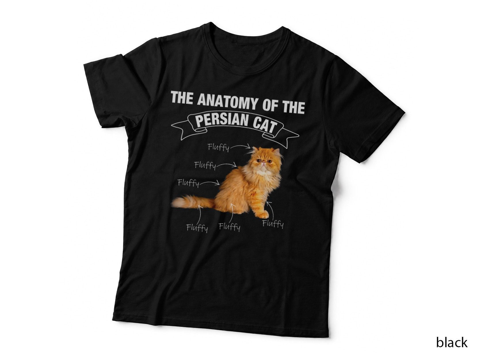 Persian Cat Persian Cats Anatomy T-Shirt