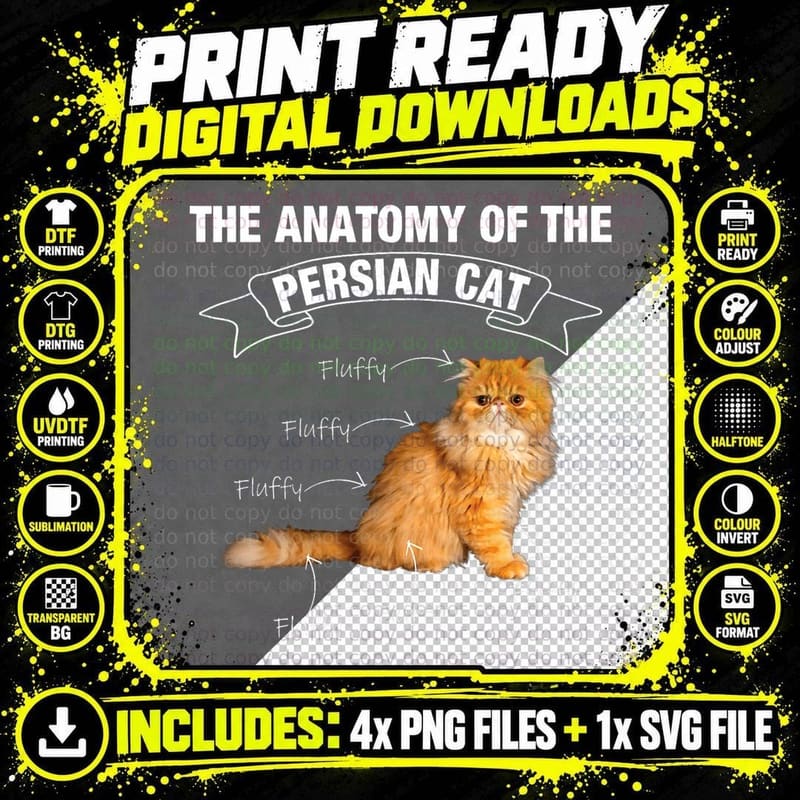 Persian Cat Persian Cats Anatomy T-Shirt Png SVG Digital Bundle