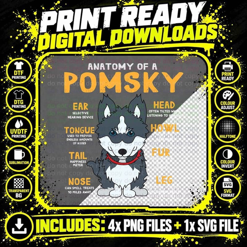 Pomsky Anatomy Funny Dog Mom Dad Gift T-Shirt Png SVG Digital Bundle
