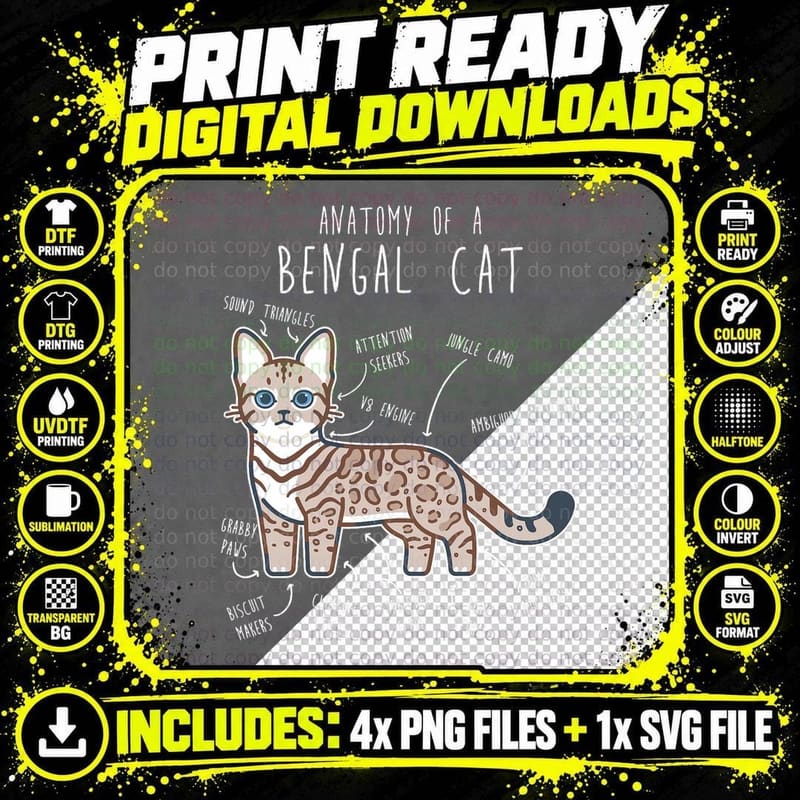 Snow Bengal Cat Seal Lynx Anatomy, Funny Cute Pet Mom Png SVG Digital Bundle