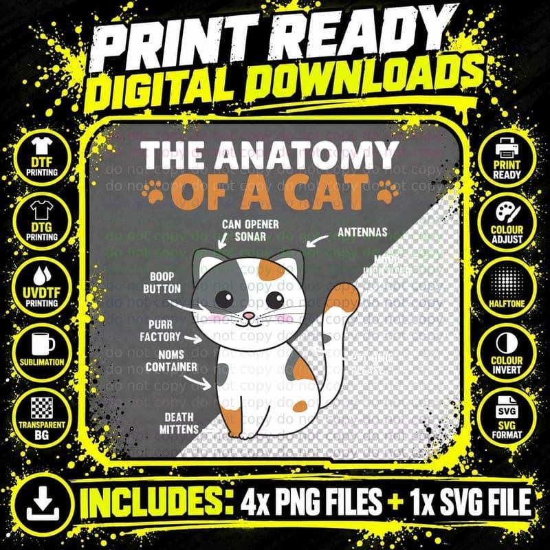 The Anatomy of a Cat Funny Explanation of a Cat T-Shirt Png SVG Digital Bundle