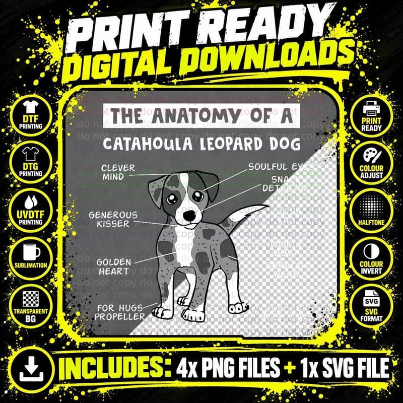 The Anatomy of a Catahoula Leopard Dog Catahoula Leopard Png SVG Digital Bundle