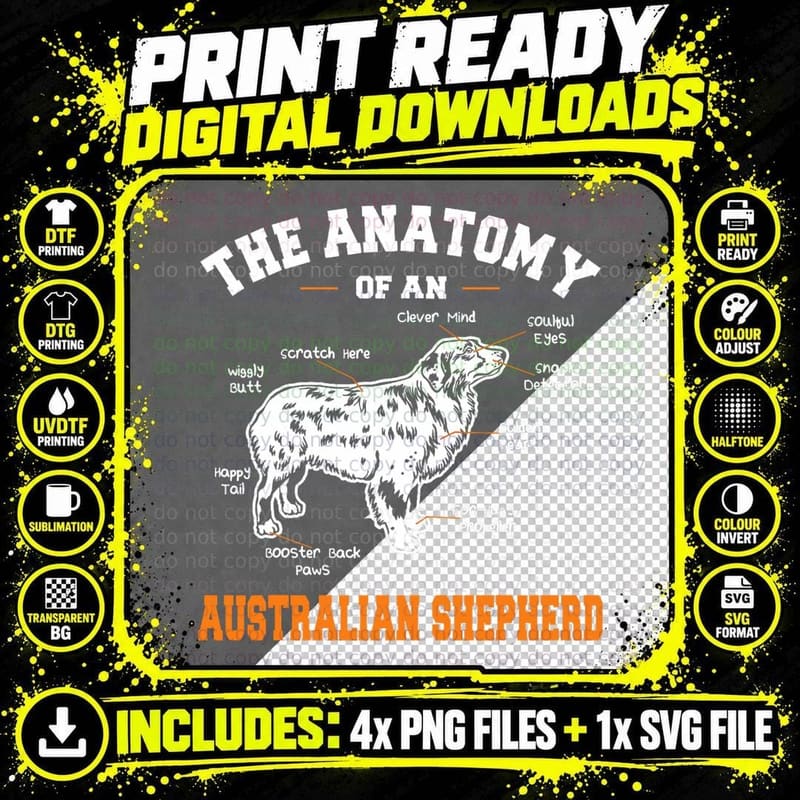 The Anatomy of an Aussie T-Shirt Aussie Dog Shirt Png SVG Digital Bundle