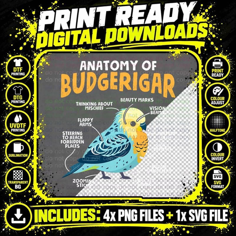 Anatomy of Budgerigar Bird Owner Parakeet Funny Budgie Png SVG Digital Bundle