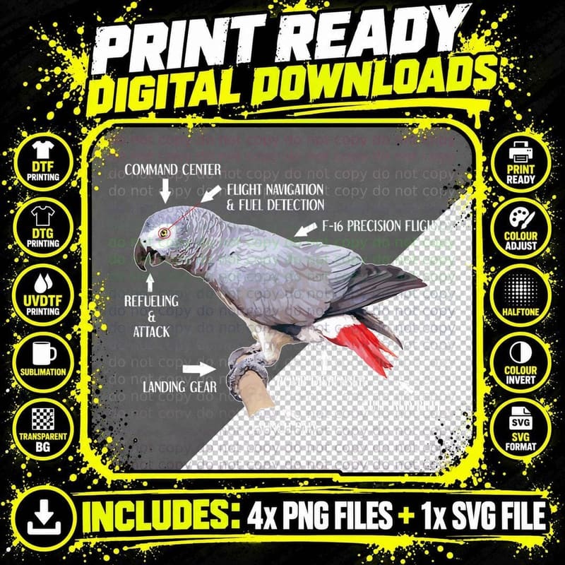 Anatomy of an African Grey Parrot T-Shirt Funny Bird Gift Png SVG Digital Bundle