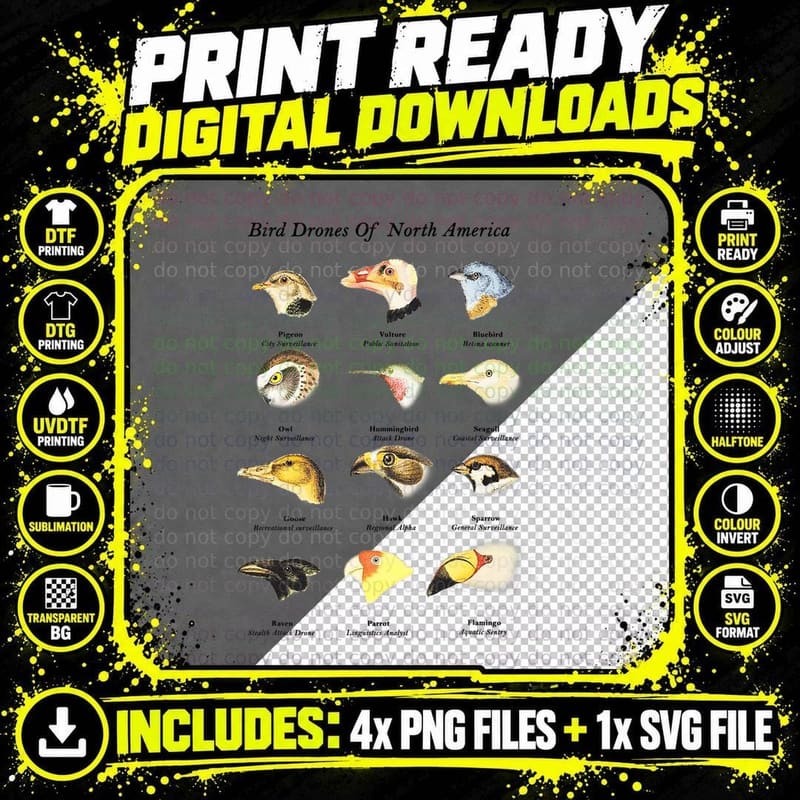 Bird Drones of North America Cute Field Guide Bird Png SVG Digital Bundle
