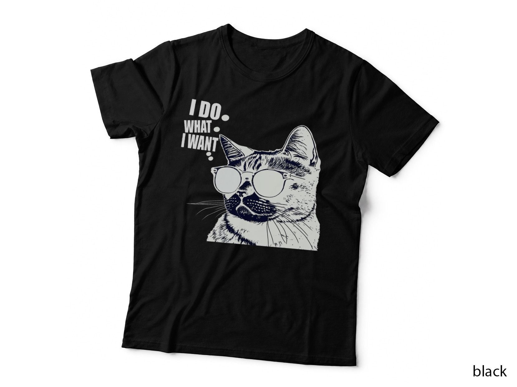 Do What I Want Vintage Black Cat Weird Funny Cat T-Shirt