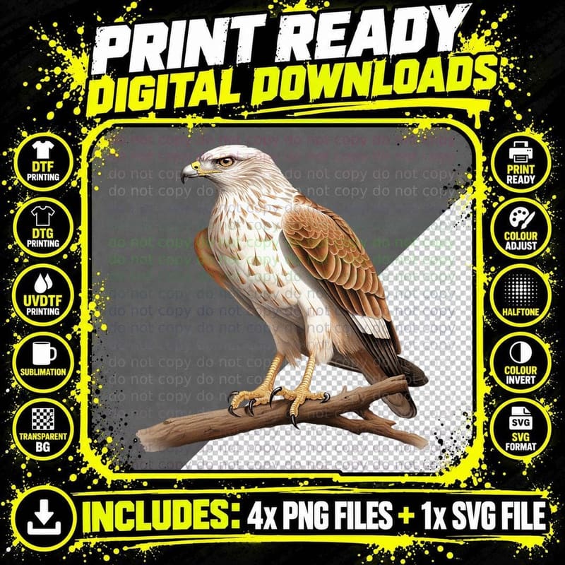 Hawk Bird Lover Illustration T-Shirt Png SVG Digital Bundle