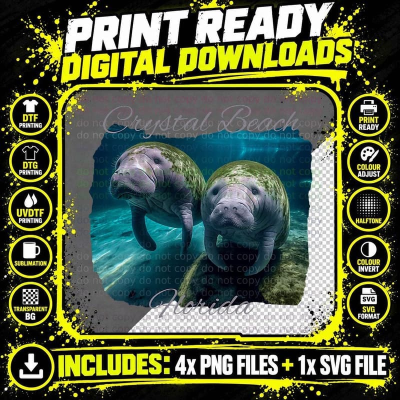 Manas Swimming Under Water Cow and Calf Realistic Image Png SVG Digital Bundle