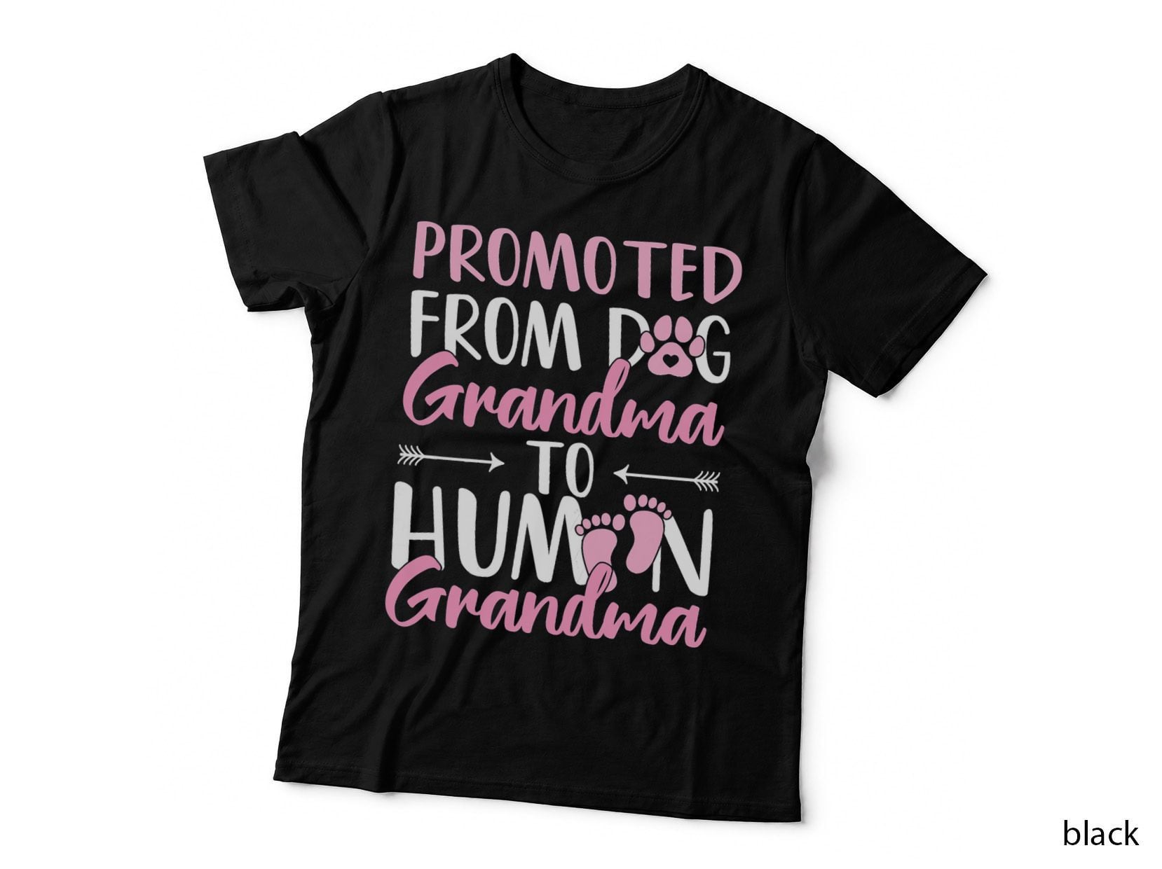 Promoted from Dog Grandma to Human Grandma to Be T-Shirt
