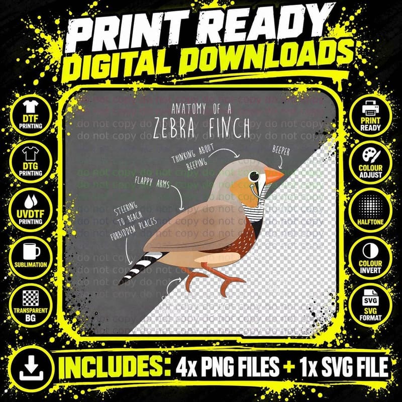 Zebra Finch Anatomy, Funny Cute Pet Bird Mom Png SVG Digital Bundle