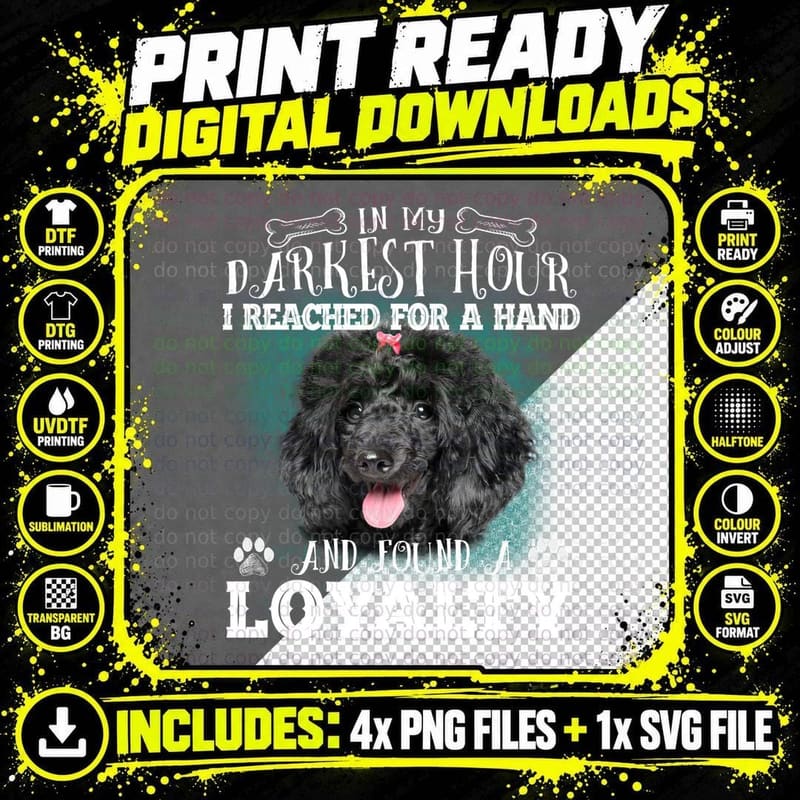 Black Poodle T-Shirt, Pet Lover Apparel, Dog Lovers Gift Png SVG Digital Bundle
