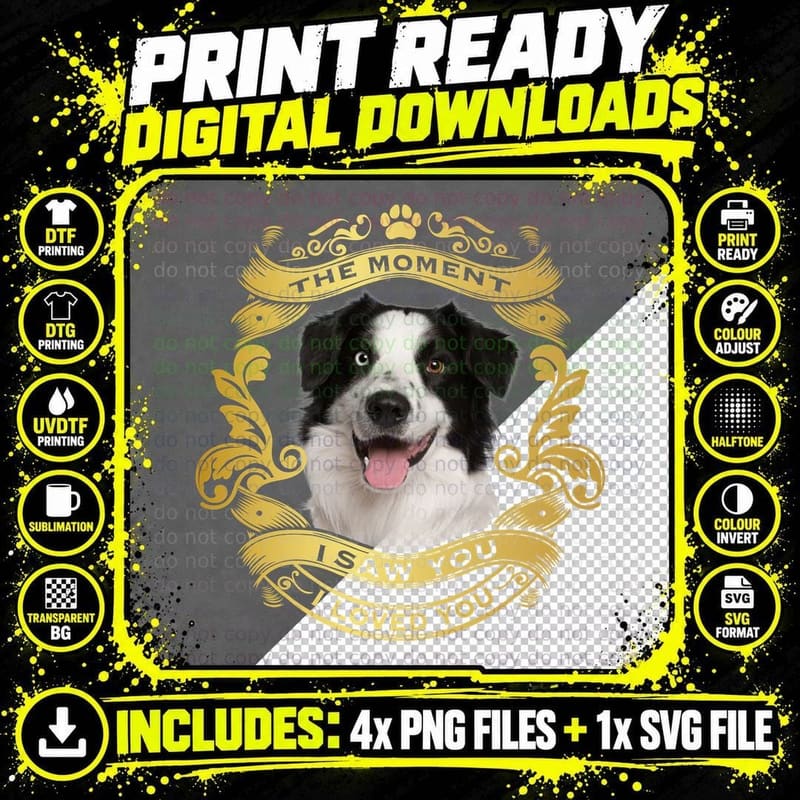 Border Collie T-Shirt, Classic Dog Breed Print Png SVG Digital Bundle