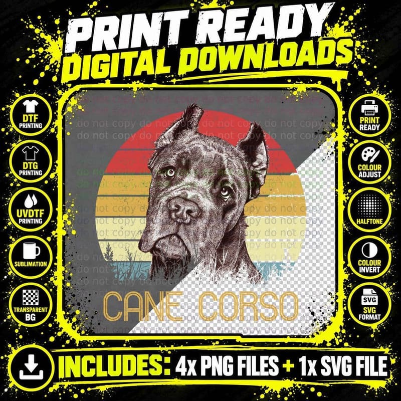 Cane Corso T-Shirt, Vintage Retro Style Png SVG Digital Bundle