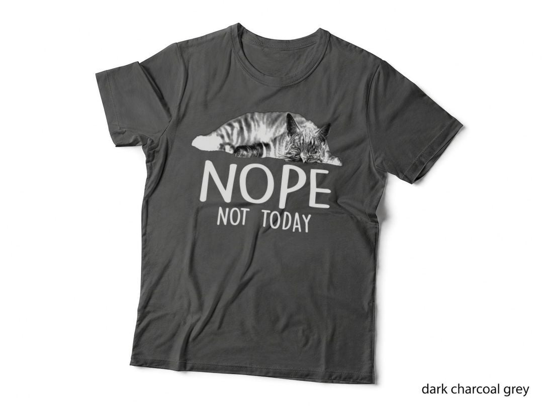Cat Sleeping T-Shirt, Funny Sarcasm, Pet Lover Apparel